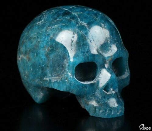 2.0" Blue Apatite Carved Crystal Skull, Realistic, Crystal Healing
